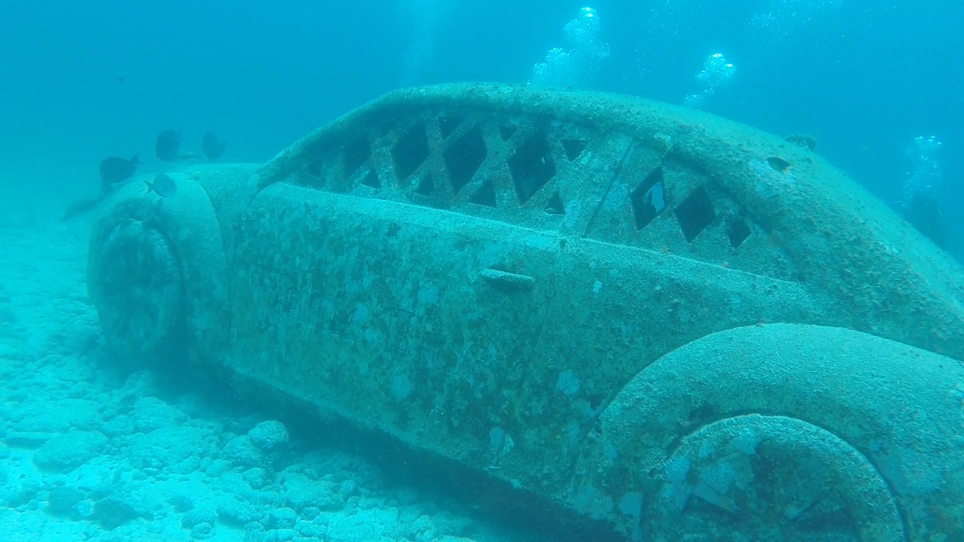 Isla Mujeres, Mexico – August 2016