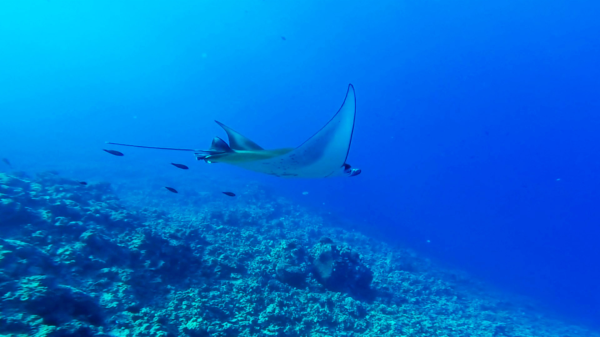 Kona, Hawaii – December 2017