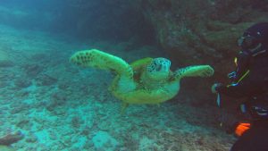 Kauai, Hawaii – December 2018